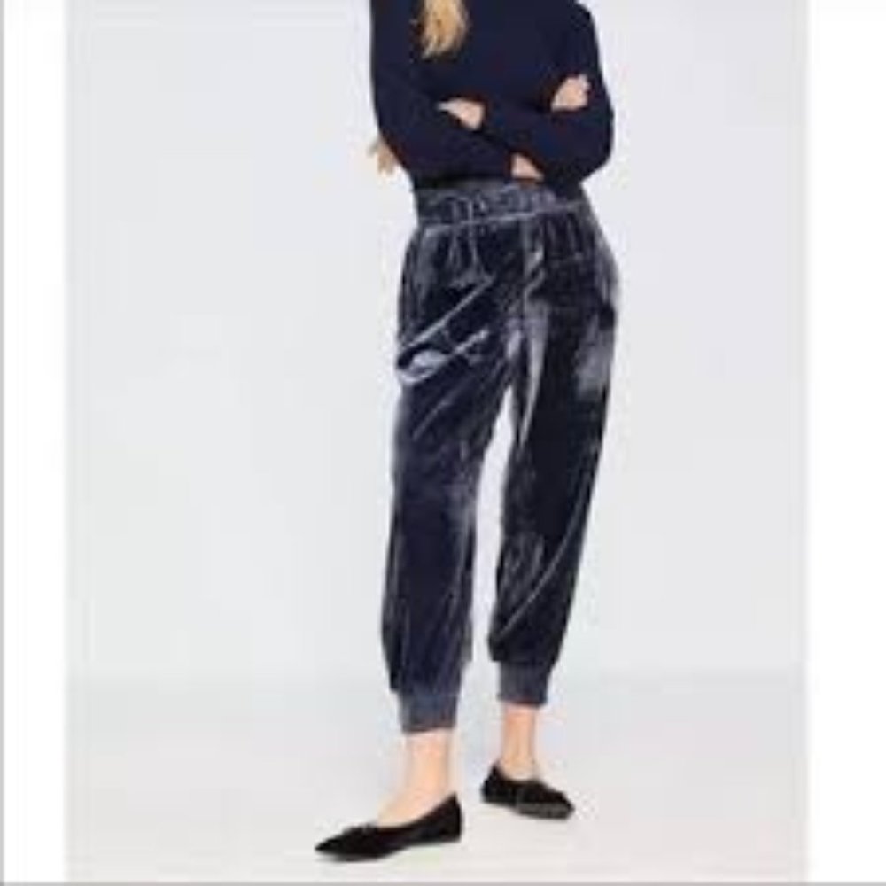 Anthropologie Gloria crushed velvet baggy jogger pants